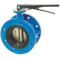 Double Flange Butterfly Valve